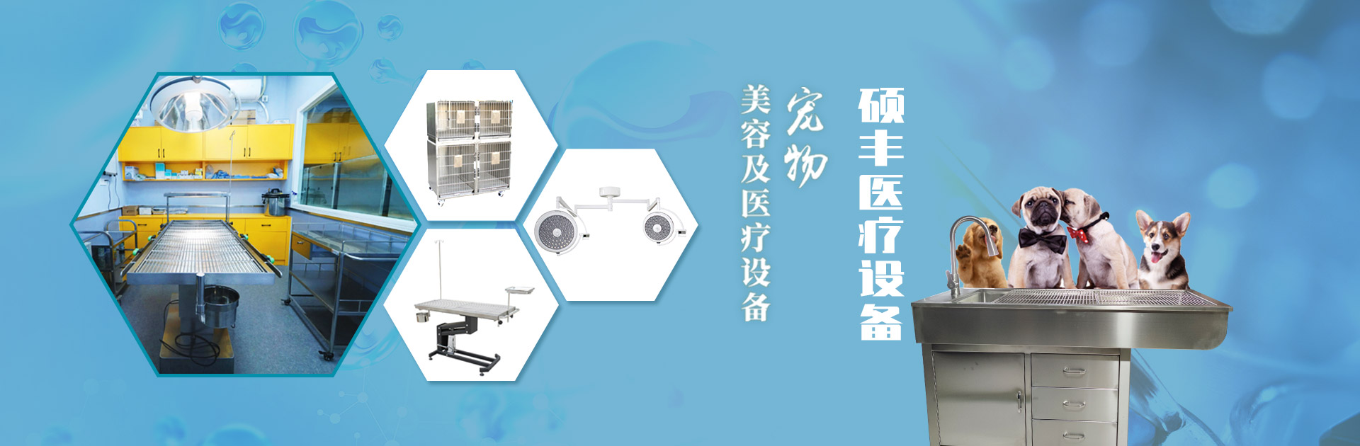 山東碩（shuò）豐醫療設備（bèi）有限公司