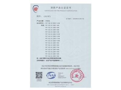 排（pái）煙（yān）閥3C證書2500x1250-56